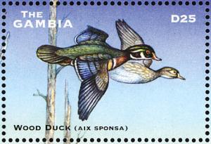 Colnect-1721-782-Wood-Duck-Aix-sponsa.jpg