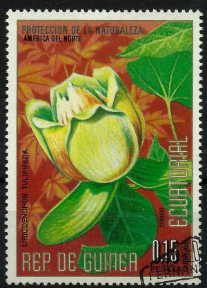 Colnect-2100-687-Liriodendron-tulipifera.jpg