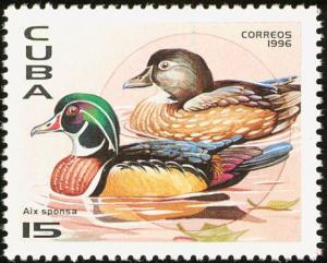 Colnect-2133-754-Wood-Duck-Aix-sponsa.jpg