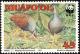 Colnect-1075-336-Tongan-Megapode%C2%A0Megapodius-pritchardii.jpg