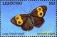 Colnect-5964-996-Common-Wood-nymph-Cercyonis-pegala.jpg