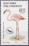 Colnect-4016-587-Phoenicopterus-Ruber.jpg