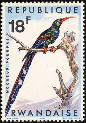 Colnect-1780-780-Green-Woodhoopoe-Phoeniculus-purpureus-ssp-ruwenzorae-.jpg