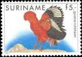 Colnect-2072-623-Guianan-Cock-of-the-rock-Rupicola-rupicola.jpg