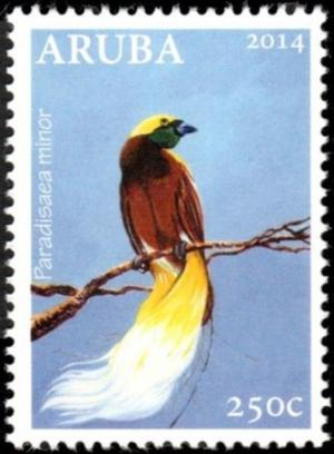 Colnect-3776-344-Lesser-Bird-of-paradise-Paradisaea-minor.jpg