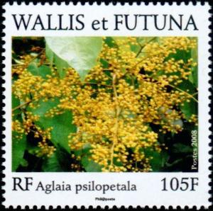 Colnect-902-313-Lagakalo-name-of-Aglaia-psilopetala-Wallis.jpg