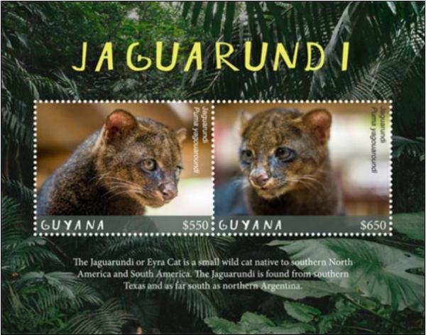 Colnect-4794-178-Fauna-of-Guyana--Jaguarundi.jpg