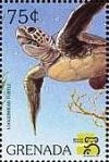 Colnect-4391-155-Loggerhead-turtle.jpg