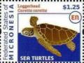 Colnect-5782-109-Loggerhead-turtle.jpg