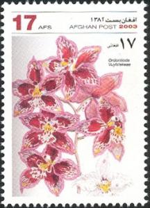 Colnect-543-744-Ordontoglossum-vuylstekeae.jpg