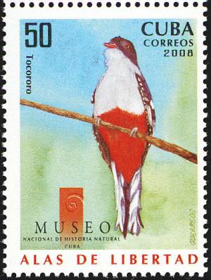 Colnect-2138-476-Cuban-Trogon-Priotelus-temnurus.jpg