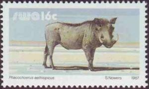 Colnect-2367-604-Desert-Warthog-Phacochoerus-aethiopicus.jpg