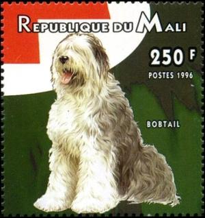 Colnect-2694-705-Old-English-Sheepdog-Bobtail-Canis-lupus-familiaris-.jpg