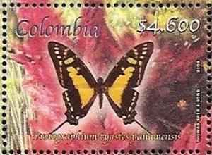 Colnect-3322-778-Protographium-panamensis.jpg