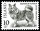 Colnect-1638-369-Islandic-Dog-Canis-lupus-familiaris.jpg