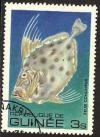 Colnect-965-753-Silvery-John-Dory-Zeus-conchifer.jpg