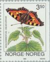 Colnect-162-417-Small-Tortoiseshell-Aglais-urticae.jpg