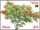 Colnect-5664-369-Royal-Poinciana-Delonix-regia.jpg