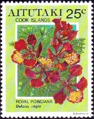 Colnect-2854-942-Royal-poinciana-Delonix-regia.jpg