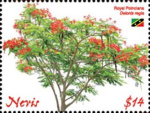 Colnect-5664-369-Royal-Poinciana-Delonix-regia.jpg