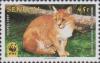 Colnect-2199-438-African-Golden-Cat-Profelis-aurata.jpg