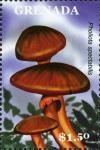 Colnect-3073-690-Pholiota-spectabilis.jpg