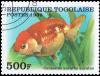 Colnect-3582-203-Lionchu-Goldfish-Carassius-auratus.jpg