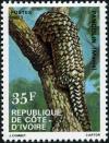 Colnect-4485-025-Tree-Pangolin-Phataginus-tricuspis.jpg