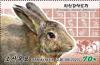 Colnect-6777-957-Rabbit-Oryctolagus-cuniculus-domesticus.jpg