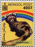 Colnect-1292-058-Marbled-Polecat-Vormela-peregusna.jpg