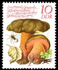 Colnect-1981-042-Boletus-erythropus.jpg