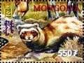 Colnect-2360-233-Marbled-Polecat-Vormela-peregusna.jpg