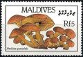 Colnect-2918-689-Pholiota-spectabilis.jpg