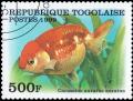 Colnect-3582-203-Lionchu-Goldfish-Carassius-auratus.jpg