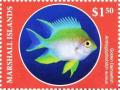 Colnect-6219-113-Golden-damselfish.jpg