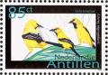 Colnect-966-977-Yellow-Oriole%C2%A0Icterus-nigrogularis.jpg