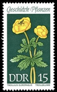 Colnect-317-604-Trollius-europaeus.jpg