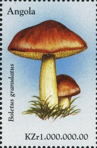 Colnect-2990-352-Weeping-Bolete-Boletus-granulatus.jpg