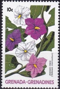 Colnect-3795-687-Solanum-macranthum.jpg