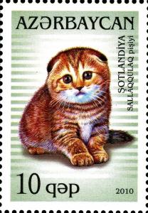 Colnect-1604-624-Scottish-Fold-Felis-silvestris-catus.jpg