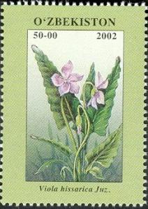 Colnect-4825-271-Viola-hissarica-Juz.jpg