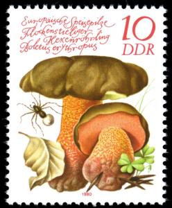 Colnect-1981-042-Boletus-erythropus.jpg