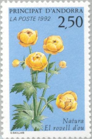 Colnect-142-135-Trollius-europaeus-.jpg