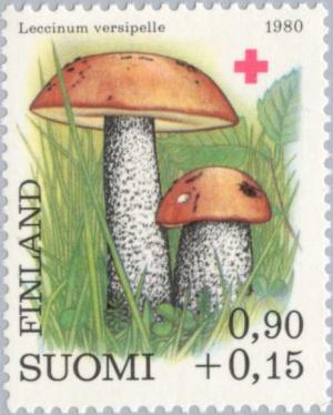 Colnect-159-762-Orange-Cap-Boletus-Leccinum-versipelle.jpg