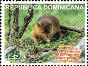 Colnect-1611-145-Hispaniolan-Solenodon-Solenodon-paradoxus.jpg