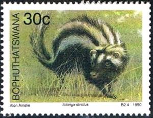 Colnect-2418-915-Striped-Polecat-Ictonyx-stricatus.jpg