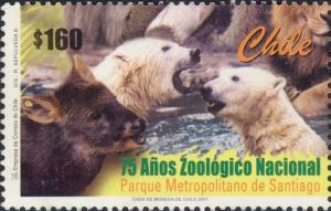 Colnect-2697-243-Muntjac-Polar-Bear-Ursus-maritimus.jpg