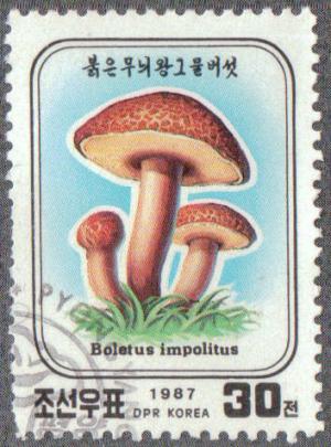 Colnect-2714-280-Boletus-impolitus.jpg