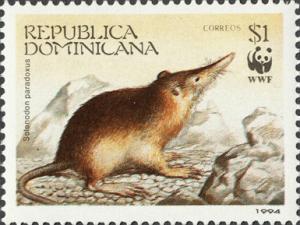 Colnect-3147-459-Hispaniolan-Solenodon-Solenodon-paradoxus.jpg