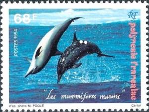 Colnect-3226-802-Long-beaked-Dolphin-Stenella-longirostris-.jpg